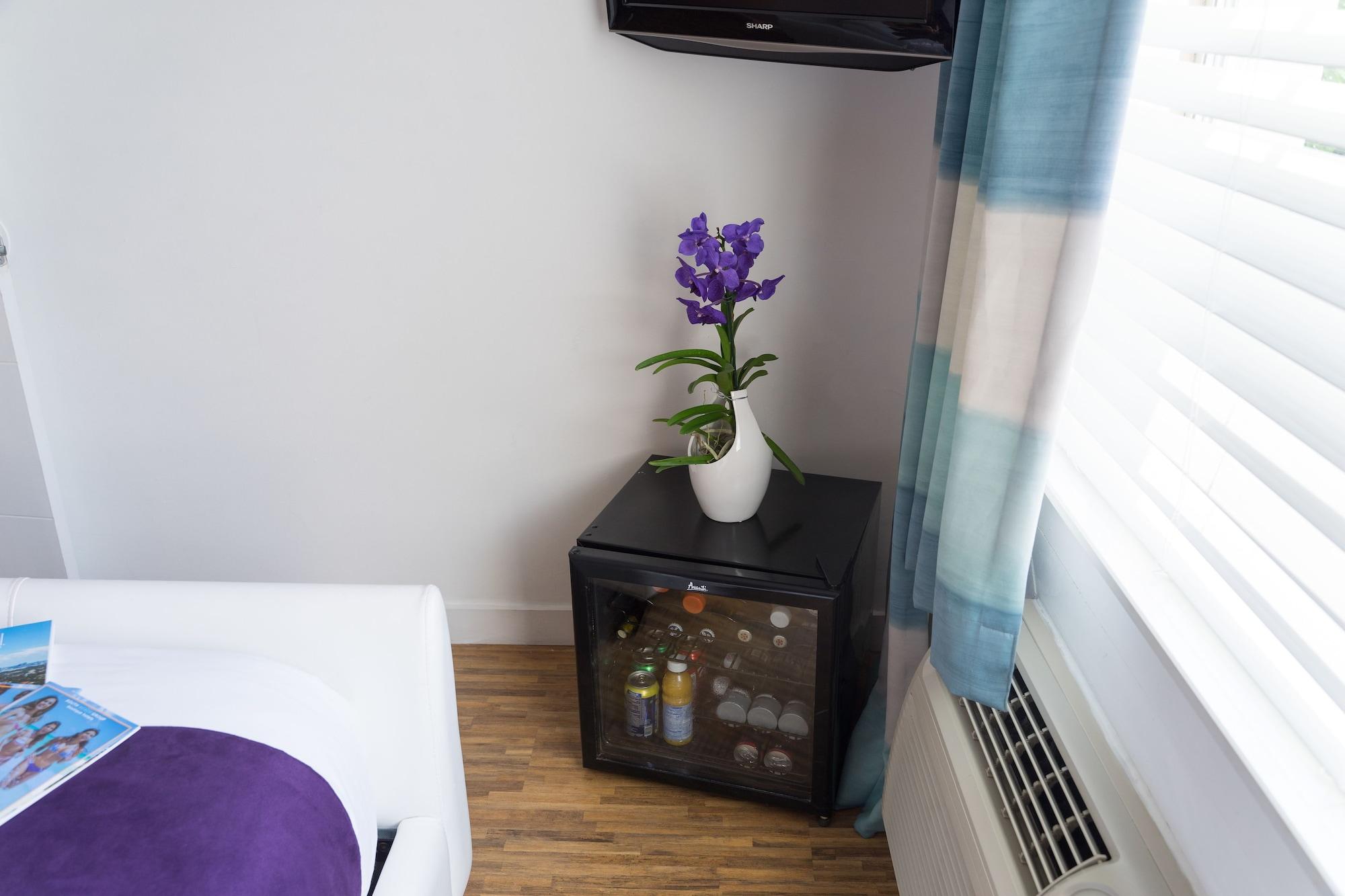 Shelley Hotel Miami Beach Dış mekan fotoğraf