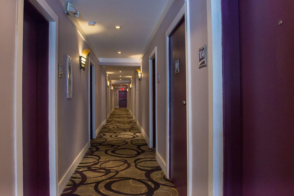 Shelley Hotel Miami Beach Dış mekan fotoğraf